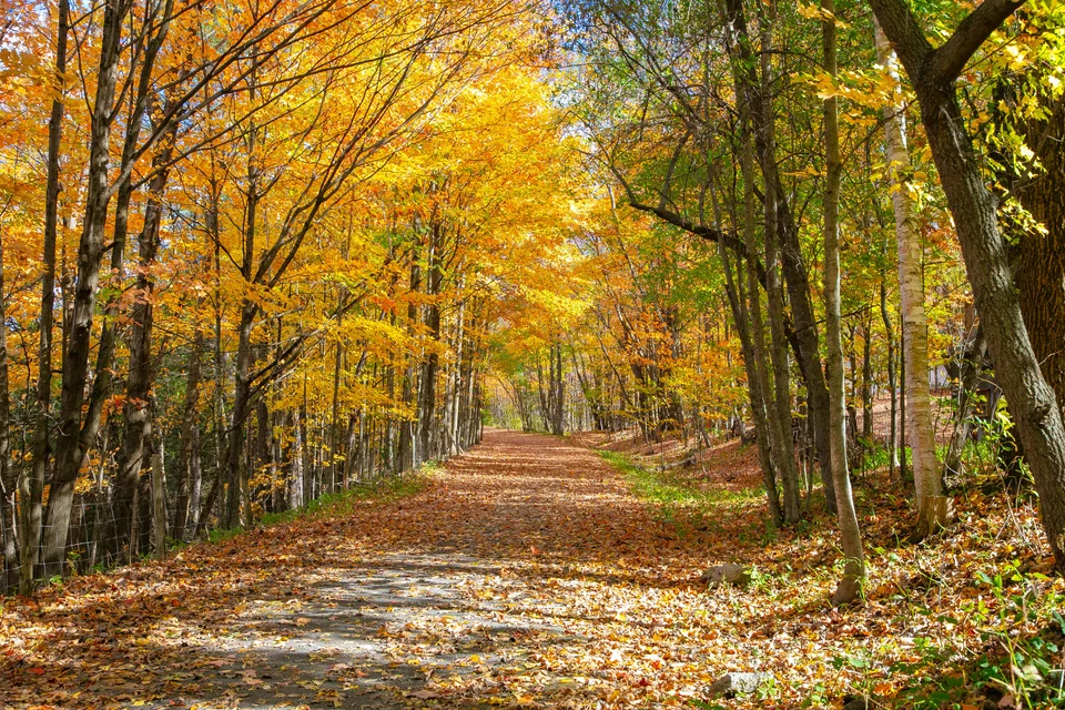 Piste cyclable Tomifobia - Scenic bike trail